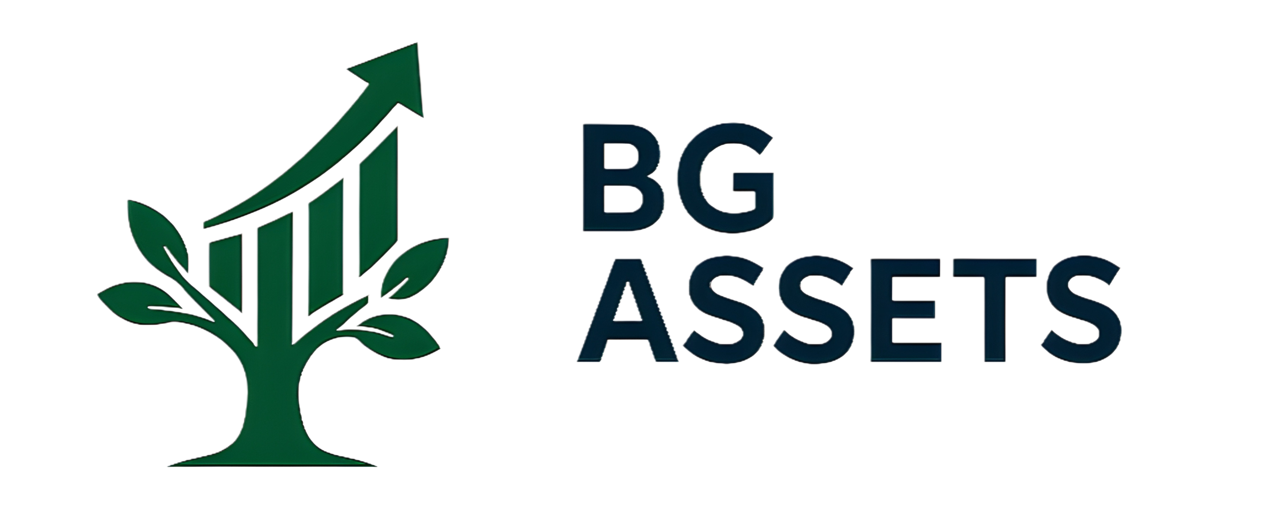 Bgassets Logo